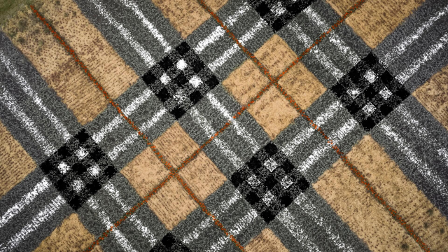 Thomas burberry line hotsell