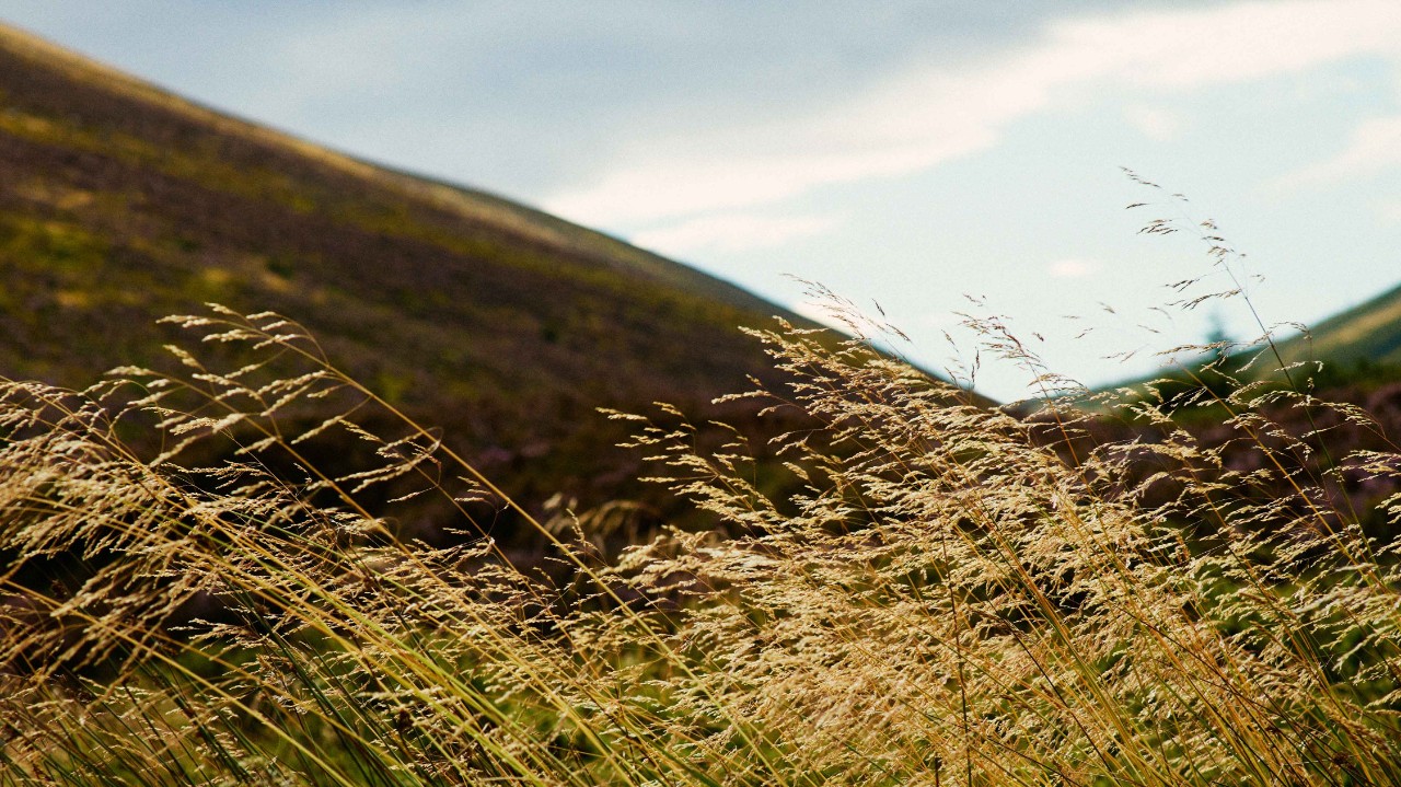 Discover how Burberry is working to become net zero and protect nature through sustainable innovation, renewable energy, and biodiversity initiatives.