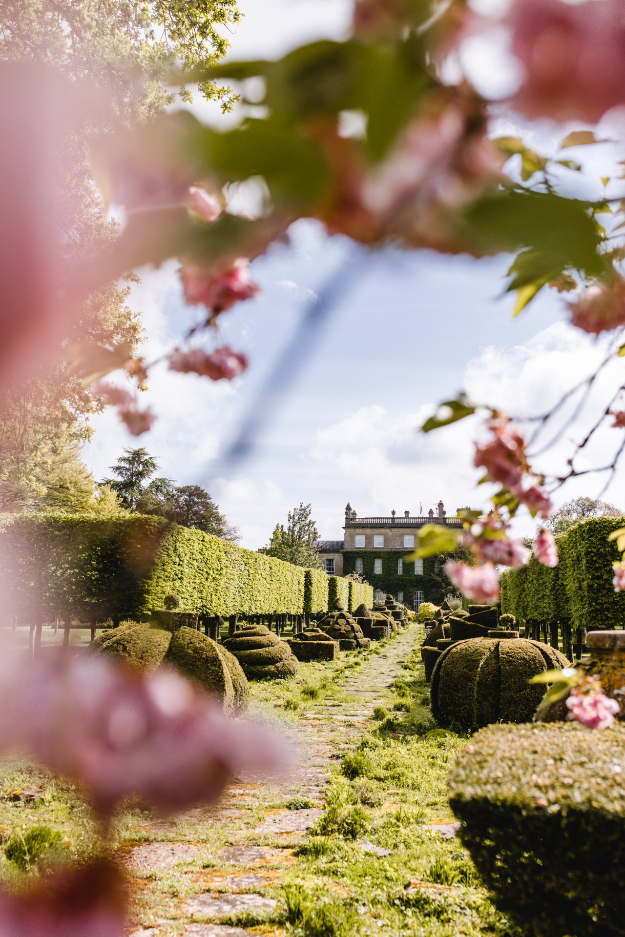 Burberry and Highgrove unveil new scarf collection Burberryplc