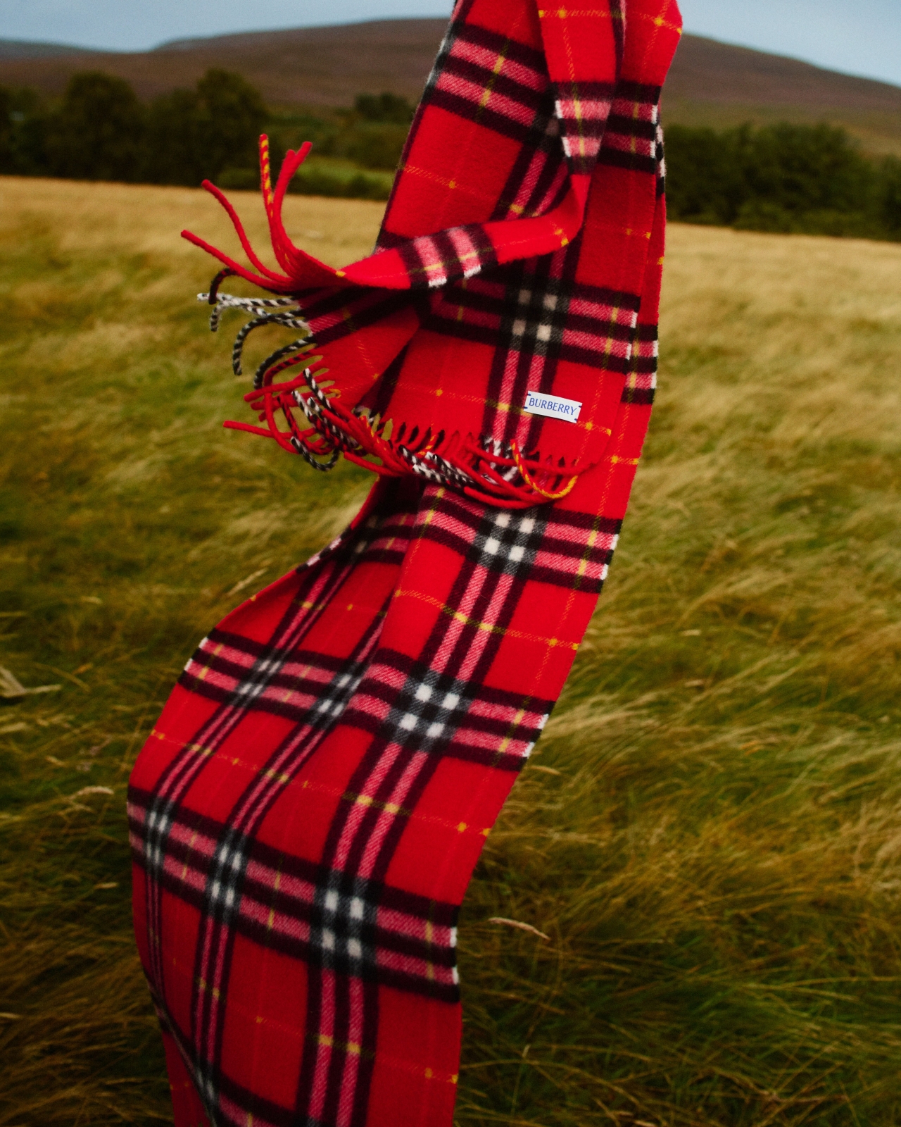 Burberry made deals