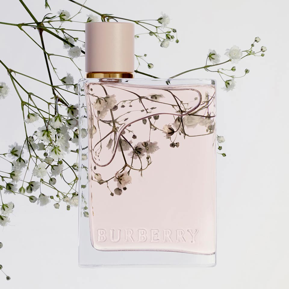 Burberry coty store